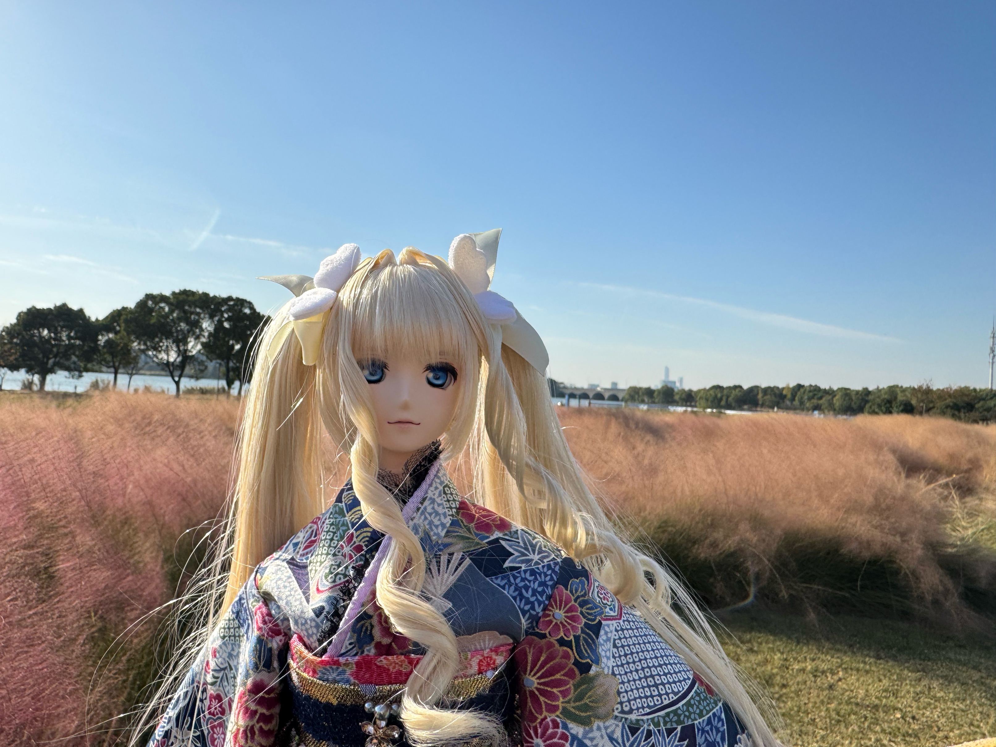 Dollfie Dream シェリル・ノーム - Ara's Homepage